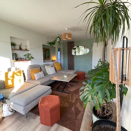 Appartement T3 - Foret & Plage Anglet Exterior foto